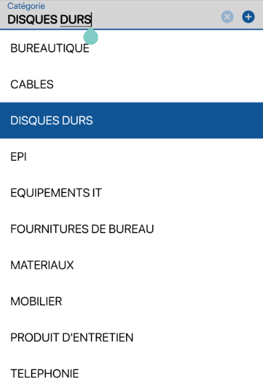 Liste des catégories personnalisées sur l'application de gestion de stock en ligne K inventory